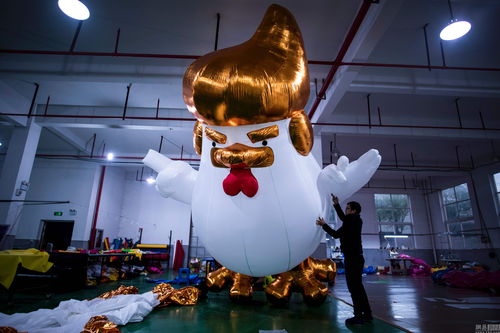 战争与抉择德国火烈鸟怎么玩