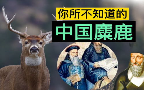 以下哪个物种是我国所独有的