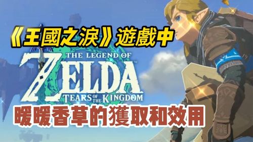 国外游戏店优惠活动:《王国之泪》只要20美元!
