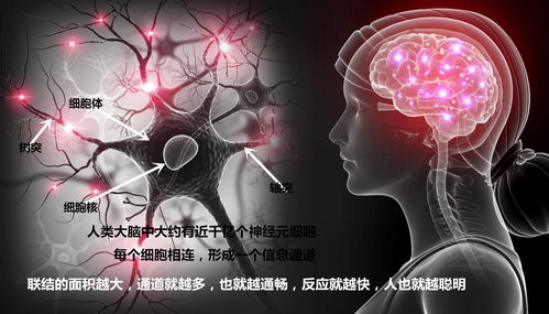 运动时听愉快的音乐有可能提升训练效果吗 真有可能哦 不会,是心理作用