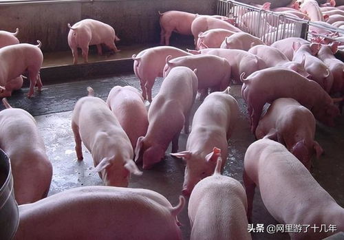 中国神话背景动作肉鸽《太子沉香》上架Steam 发售日待定