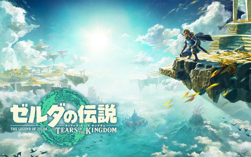 塞尔达传说王国之泪全套装升星材料 所有防具套装强化材料