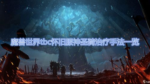 魔兽世界怀旧服圣骑士宏命令大全