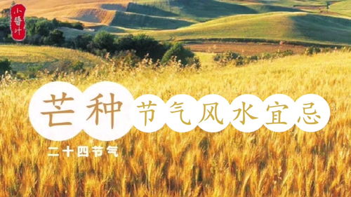 第五人格二十四节气芒种活动怎么玩 二十四节气芒种活动玩法攻略