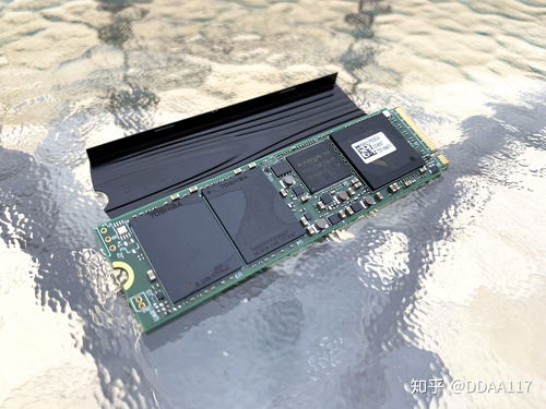 《皮克敏4》容量信息现已更新 数字版容量降至10.4G