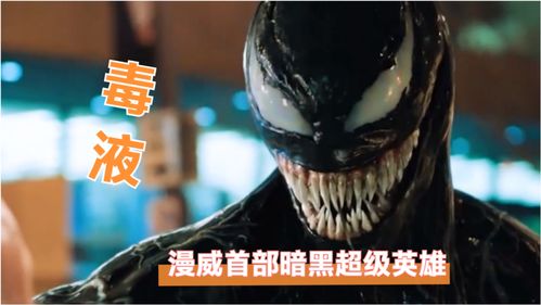《暗黑破坏神4》主播Rob2628成为首位百级玩家 耗时54小时！