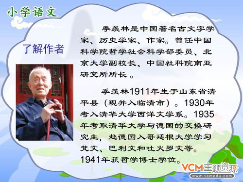 桃源深处有人家一禅小和尚联动活动有什么 联动活动详情分享
