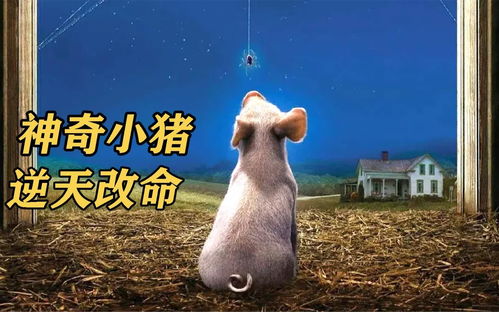 帮小姐姐解暑攻略 一代沙雕小镇夏天怎么过