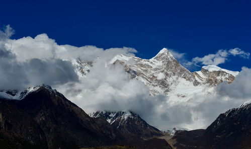 原神雪山上最好听的bgm叫什么 雪山最好听的背景音乐名字是什么