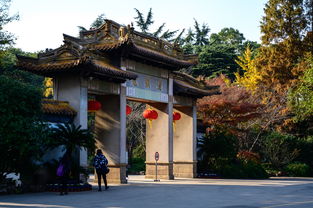 桃源深处有人家萝山寺怎么玩 萝山寺玩法分享