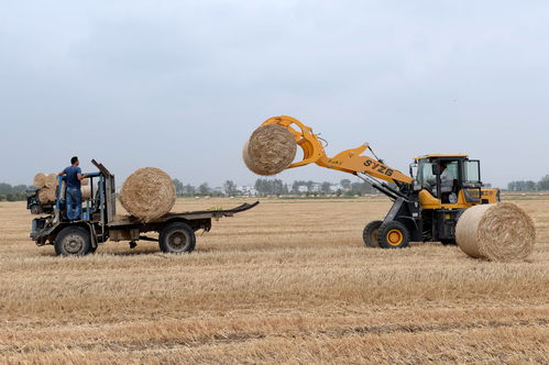 《收获日3》发布新实机预告 将于9月21日正式发售