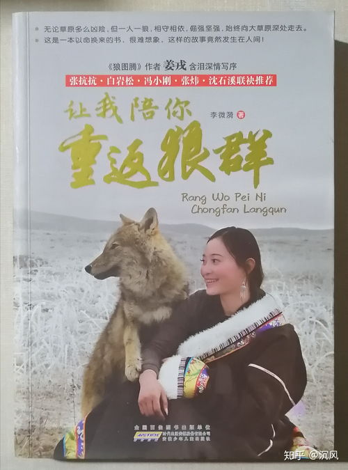 《重返未来1999》以盗制盗缅因齿儿怎么选 以盗制盗缅因齿儿满分攻略