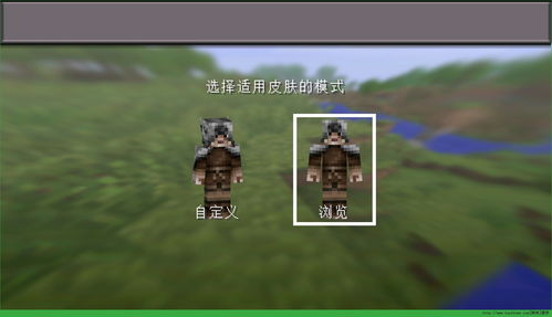 别惹农夫最新2个隐藏皮肤怎么解锁