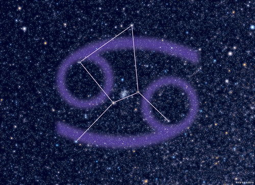 《星空》支持独自冒险 玩家可与4个同伴谈恋爱