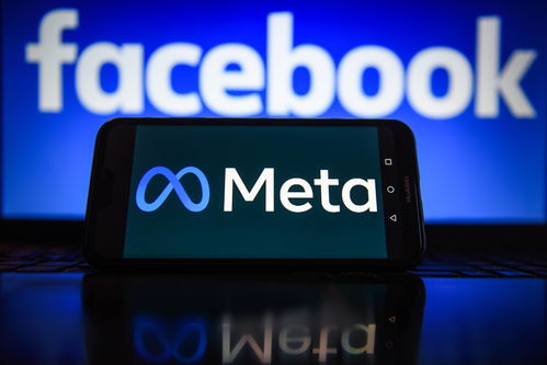 Meta 向廷德尔国家研究所投资 500 万欧元:启动 MicroLED 技术研究