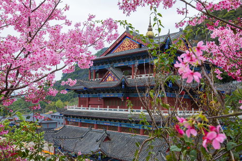 桃源深处有人家花檐塔寺怎么布局花檐塔寺布局教学攻略