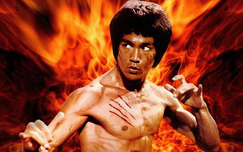 魔方多产品联动李小龙IP 再现功夫传奇