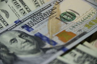 Meta 为印度开发者设立 25 万美元基金,以推动 MR 生态系统构建
