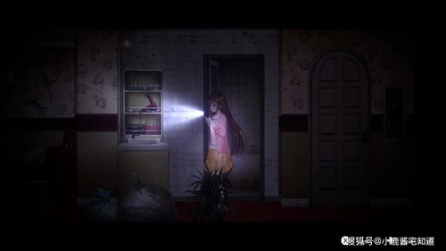 恐怖模拟游戏《停尸间助手》版本更新 追加全新结局!