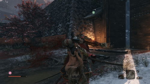 《暗黑破坏神4》铁狼的荣耀任务怎么做 铁狼的荣耀任务攻略