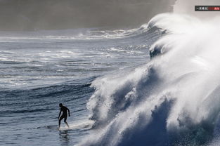 "放松下来 享受这一切" 《海滩度假模拟器》上线Steam