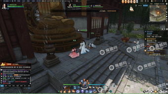 逆水寒废村探秘密码是什么 废村探秘密码分享