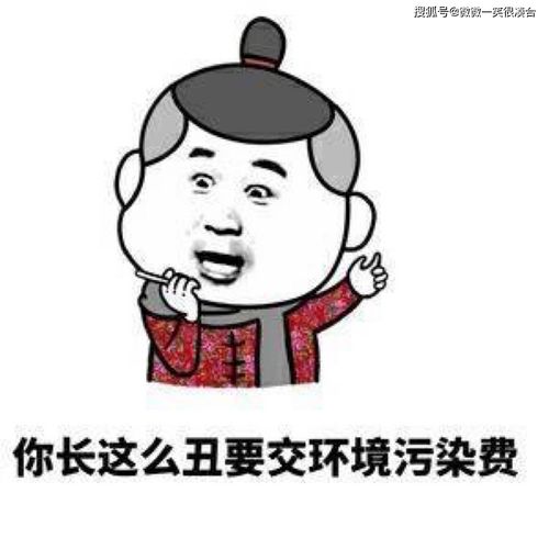 就挺秃然的放假回家攻略 就挺秃然的找到合适的表情怎么过