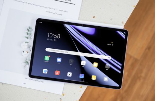 澳大利亚艺术家 Tin&Ed 利用 iPad 及 Apple Pencil 创造 AR 教育体验