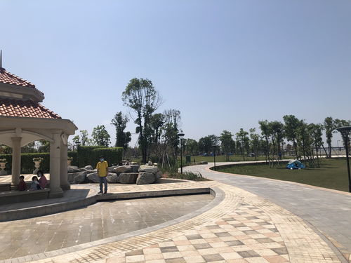 《我的休闲时光》官网地址分享 官网入口详情