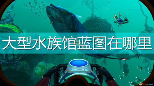 潜水员戴夫怎么抓金枪鱼 金枪鱼获取攻略