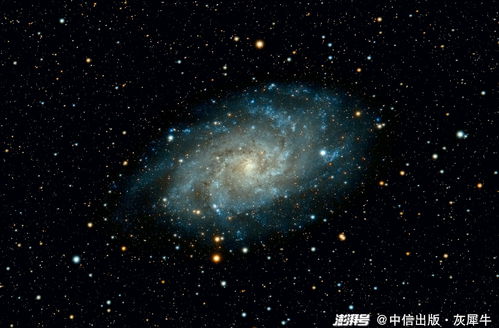 为什么苹果会一头扎进元宇宙?