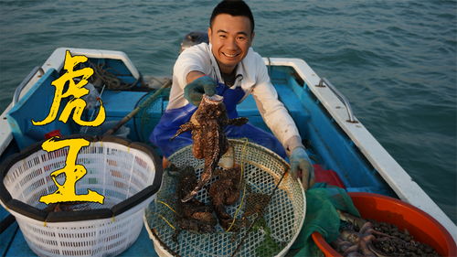潜水员戴夫海马位置大全 海马在哪抓