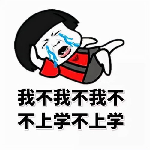 cp29结束了，我最羡慕的竟然是一只猪