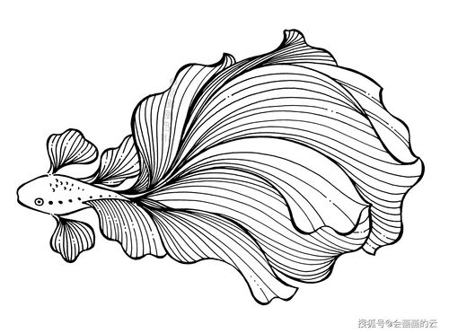 纸嫁衣5第五章一笔画攻略 宝箱一笔画解谜