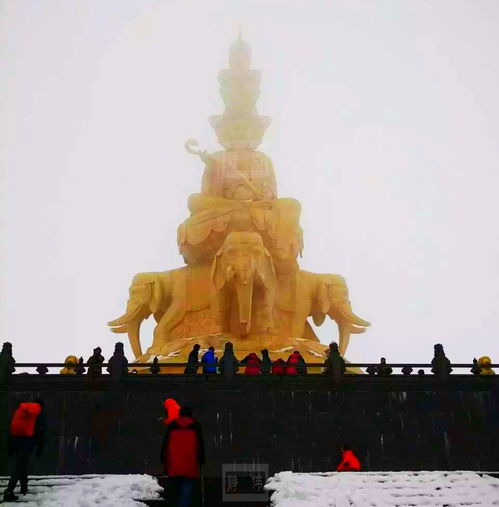 光遇苦行僧侣先祖兑换图 苦修行者先祖兑换物品表