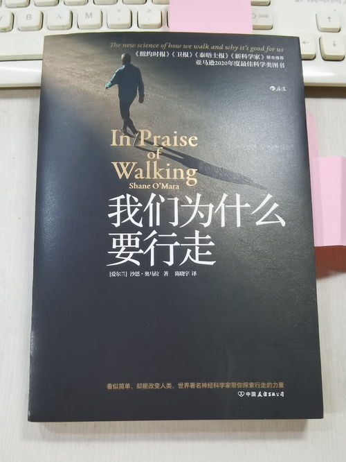 晴空双子灵魂镌刻答案大全 灵魂镌刻全问题正确答案
