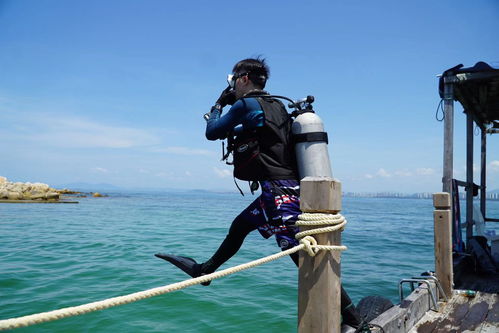 《潜水员戴夫》新内容正在筹备中 首要任务是改善游玩体验