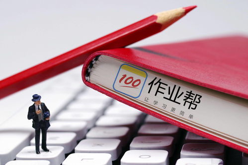 GoStudent 完成 9500 万美元的新一轮融资：以增强 VR 和 AI 应用