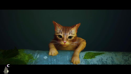 猫咪视角冒险游戏《迷失》已正式登陆Xbox 首发20%优惠中