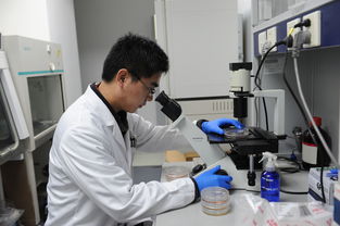 德克萨斯大学研发出新的 VR 头显以测量大脑活动