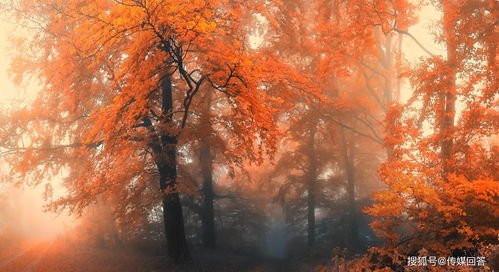 原神枫丹多少G 4.0枫丹更新后内存多大