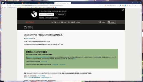 《堕落之主》开发者解释PC配置要求和主机性能
