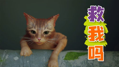 猫咪冒险游戏《迷失》发布1.04版补丁 加入无障碍选项