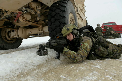 蛋仔派对特种蛋突击武器有哪些 特种蛋突击武器种类介绍