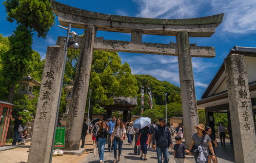 原神枫丹地方传奇位置大全 全地方传奇位置在哪
