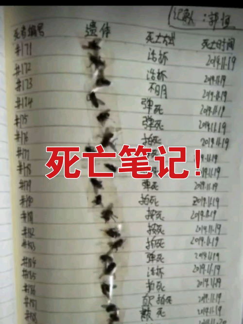 一代沙雕灭蚊日记怎么玩 灭蚊日记图文攻略