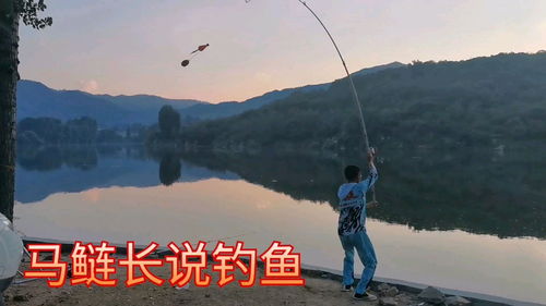 方寸对决怎么钓鱼 最全钓鱼技巧分享