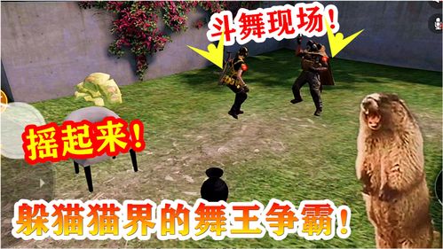 逆水寒手游躲猫猫怎么玩 躲猫猫攻略一览