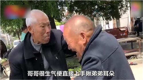 大爷见女网友 被骗800万后去世：背后是4人网络
