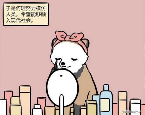 饼干上新：抓住夏日的尾巴，来点不一样的吧！